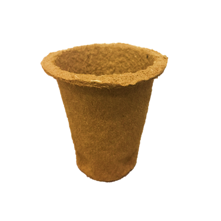 vaso biodegradabile